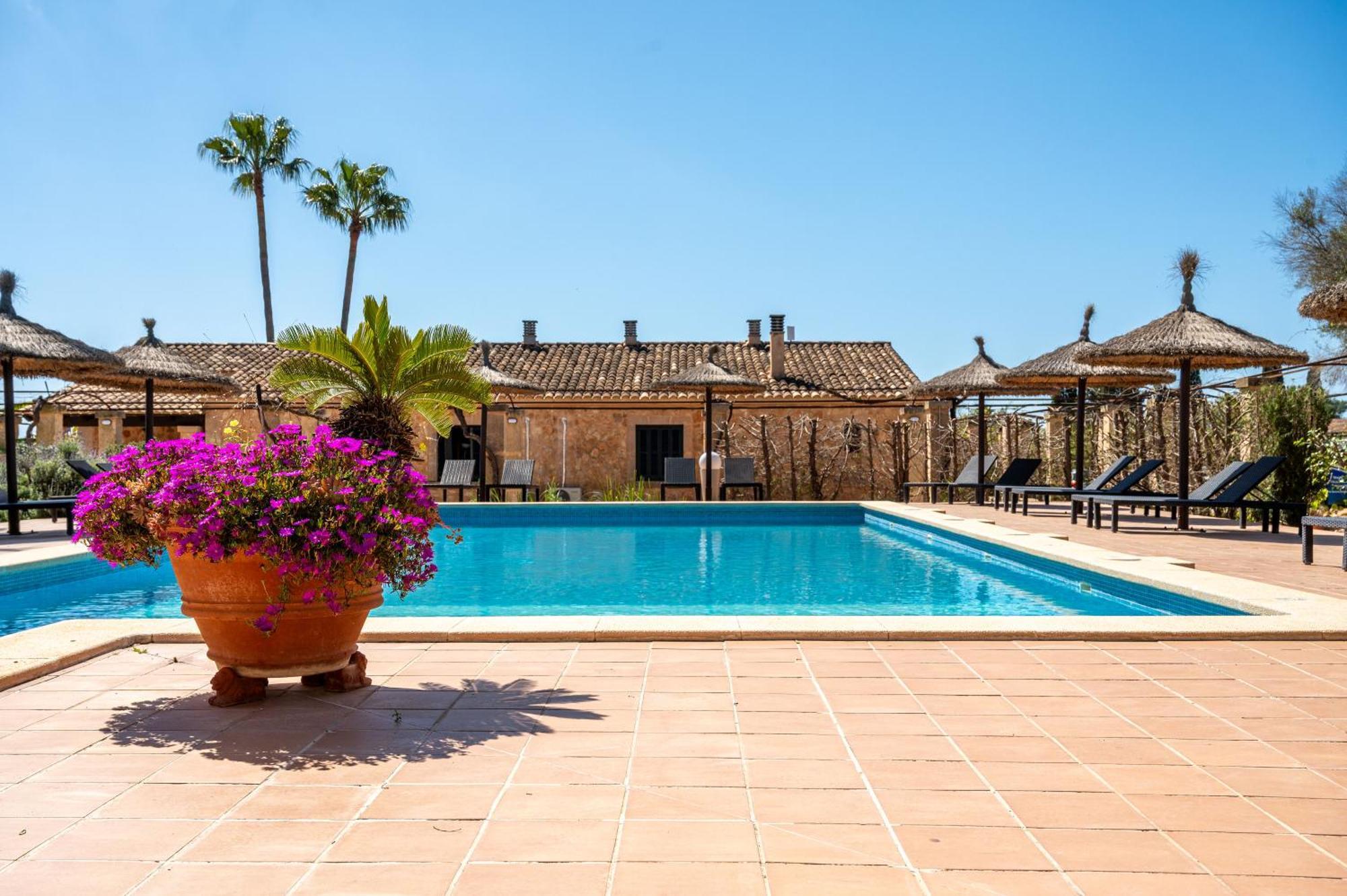 Son Sampoli By Mhr Vakantieboerderij *